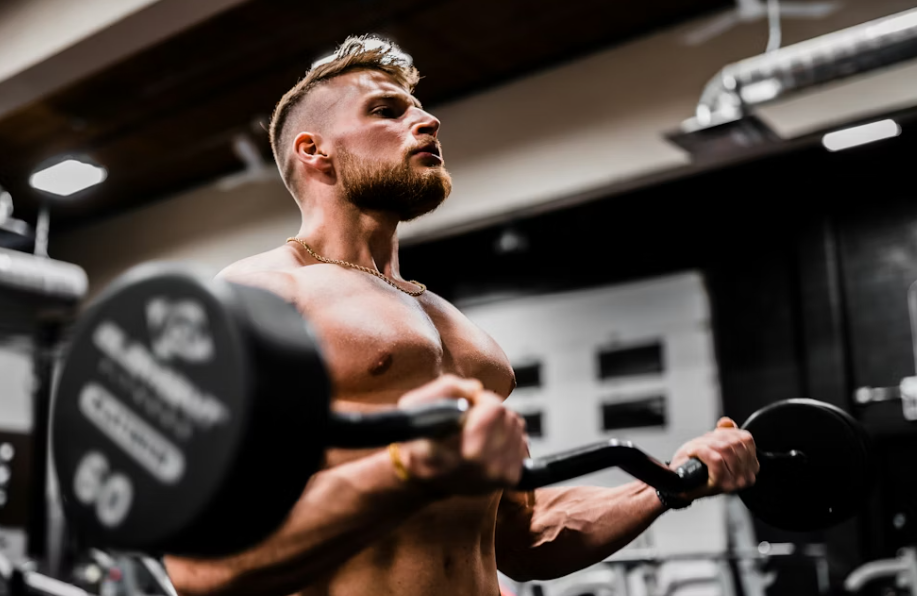 The Fitness Enthusiast's Toolkit: Free Online Tools for Active Lifestyle Seekers